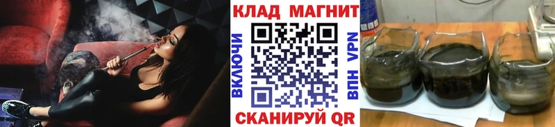 ГАШ Емва