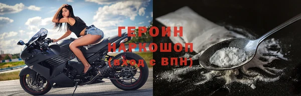 ГАЛЛЮЦИНОГЕННЫЕ ГРИБЫ Дмитриев