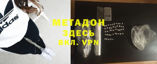 ГАЛЛЮЦИНОГЕННЫЕ ГРИБЫ Дмитриев