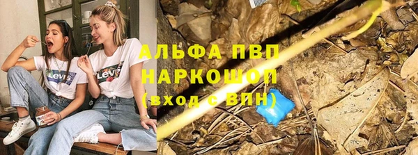 ГАЛЛЮЦИНОГЕННЫЕ ГРИБЫ Дмитриев
