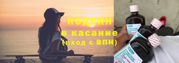 ГАЛЛЮЦИНОГЕННЫЕ ГРИБЫ Дмитриев