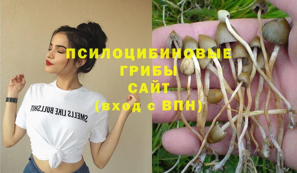 ГАЛЛЮЦИНОГЕННЫЕ ГРИБЫ Дмитриев