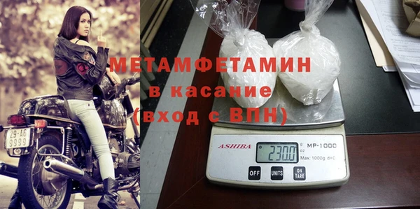 ГАЛЛЮЦИНОГЕННЫЕ ГРИБЫ Дмитриев