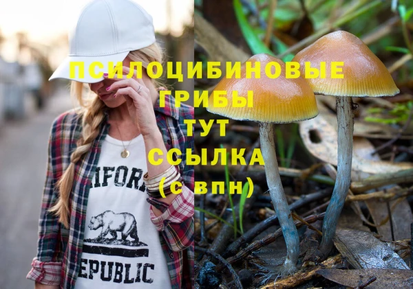 ГАЛЛЮЦИНОГЕННЫЕ ГРИБЫ Дмитриев
