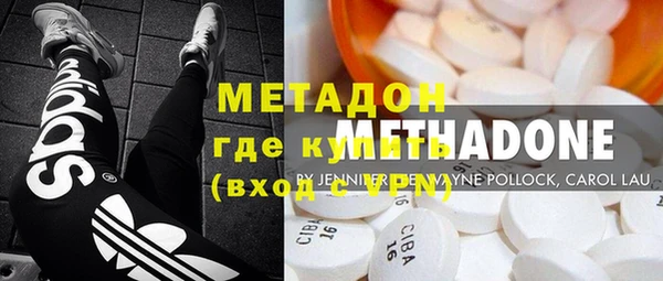 ГАЛЛЮЦИНОГЕННЫЕ ГРИБЫ Дмитриев