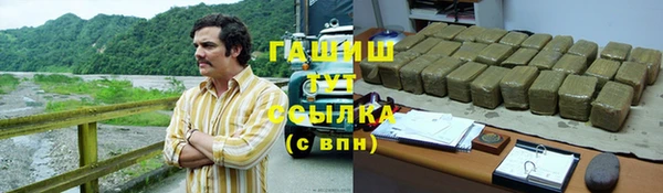 ГАЛЛЮЦИНОГЕННЫЕ ГРИБЫ Дмитриев