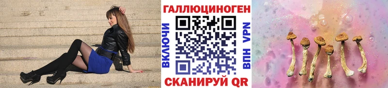 магазин    Емва  Галлюциногенные грибы прущие грибы 